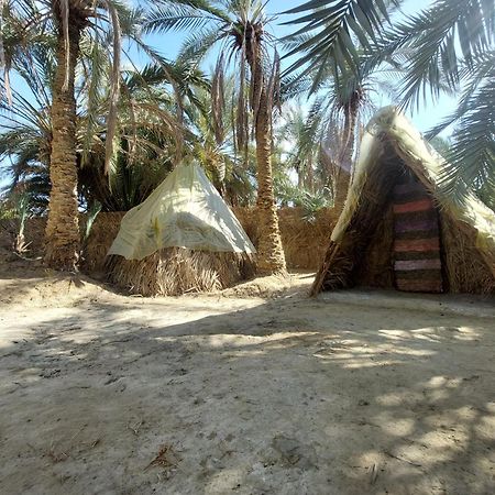 Forest Camp Siwa - كامب الغابة Siwa Oasis 외부 사진