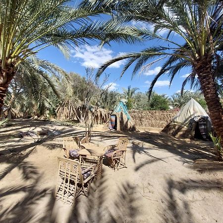 Forest Camp Siwa - كامب الغابة Siwa Oasis 외부 사진