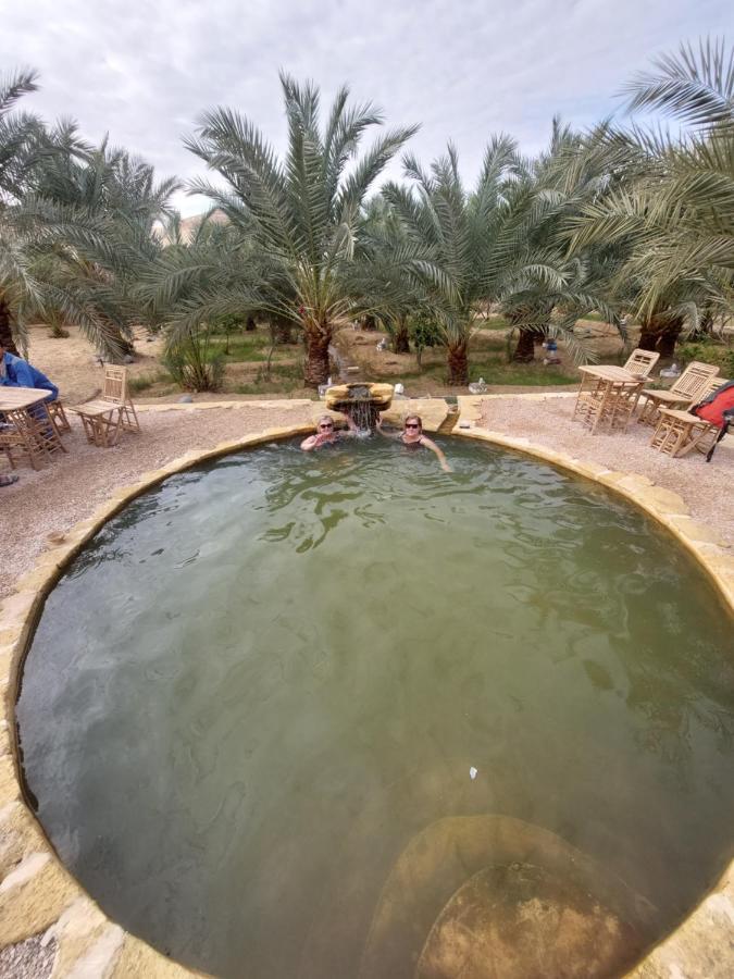 Forest Camp Siwa - كامب الغابة Siwa Oasis 외부 사진