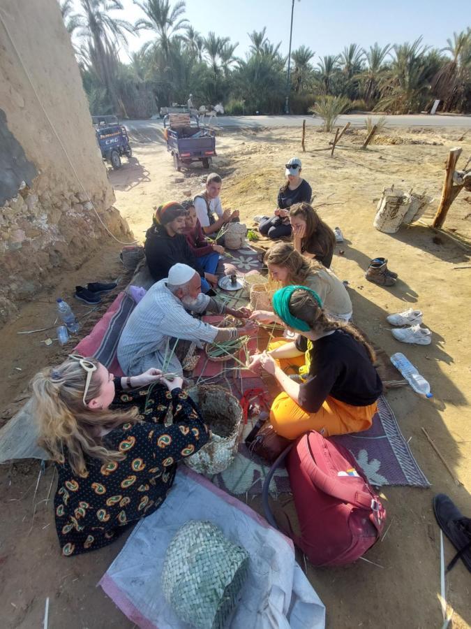 Forest Camp Siwa - كامب الغابة Siwa Oasis 외부 사진