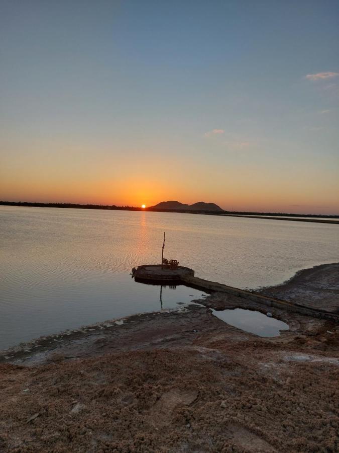 Forest Camp Siwa - كامب الغابة Siwa Oasis 외부 사진