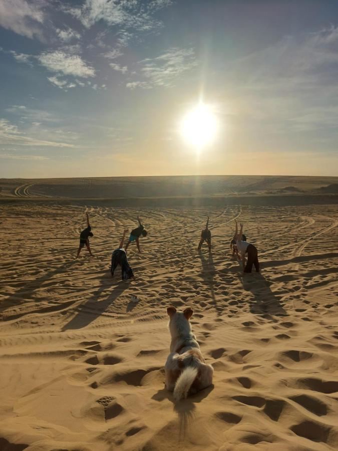 Forest Camp Siwa - كامب الغابة Siwa Oasis 외부 사진