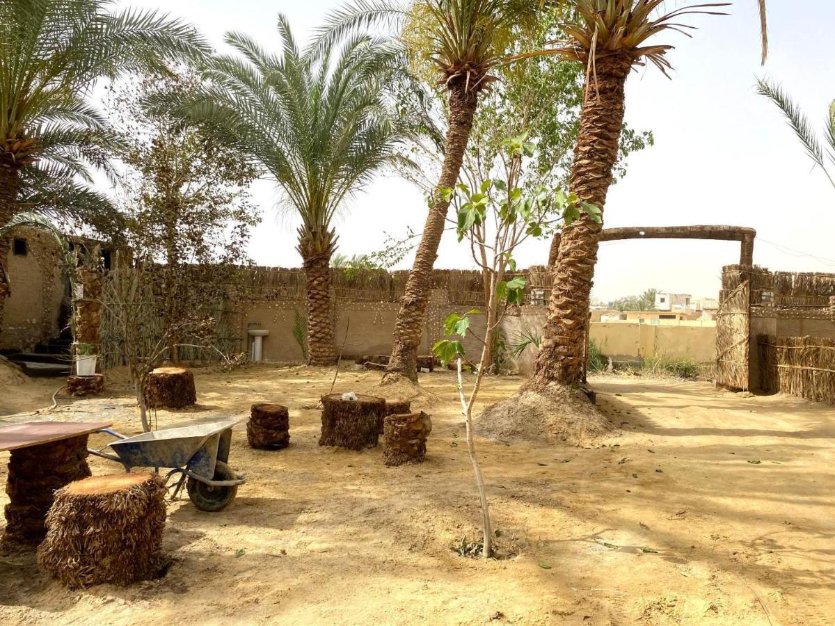 Forest Camp Siwa - كامب الغابة Siwa Oasis 외부 사진