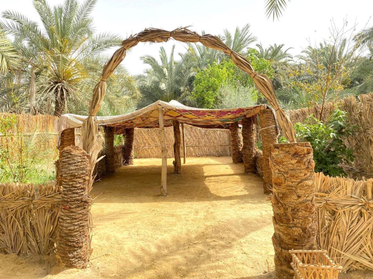 Forest Camp Siwa - كامب الغابة Siwa Oasis 외부 사진