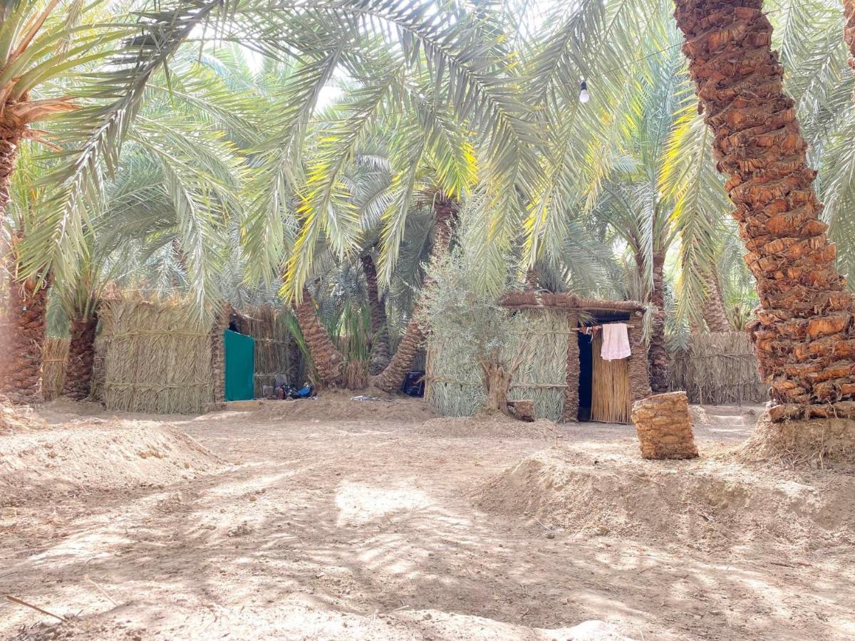 Forest Camp Siwa - كامب الغابة Siwa Oasis 외부 사진