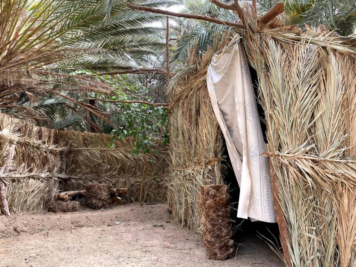 Forest Camp Siwa - كامب الغابة Siwa Oasis 외부 사진