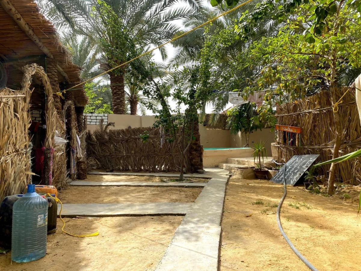 Forest Camp Siwa - كامب الغابة Siwa Oasis 외부 사진