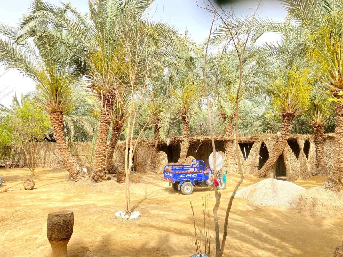 Forest Camp Siwa - كامب الغابة Siwa Oasis 외부 사진