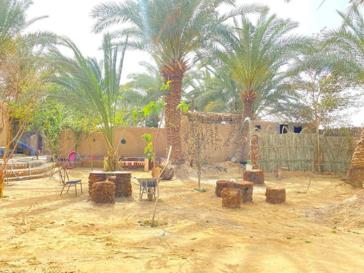 Forest Camp Siwa - كامب الغابة Siwa Oasis 외부 사진