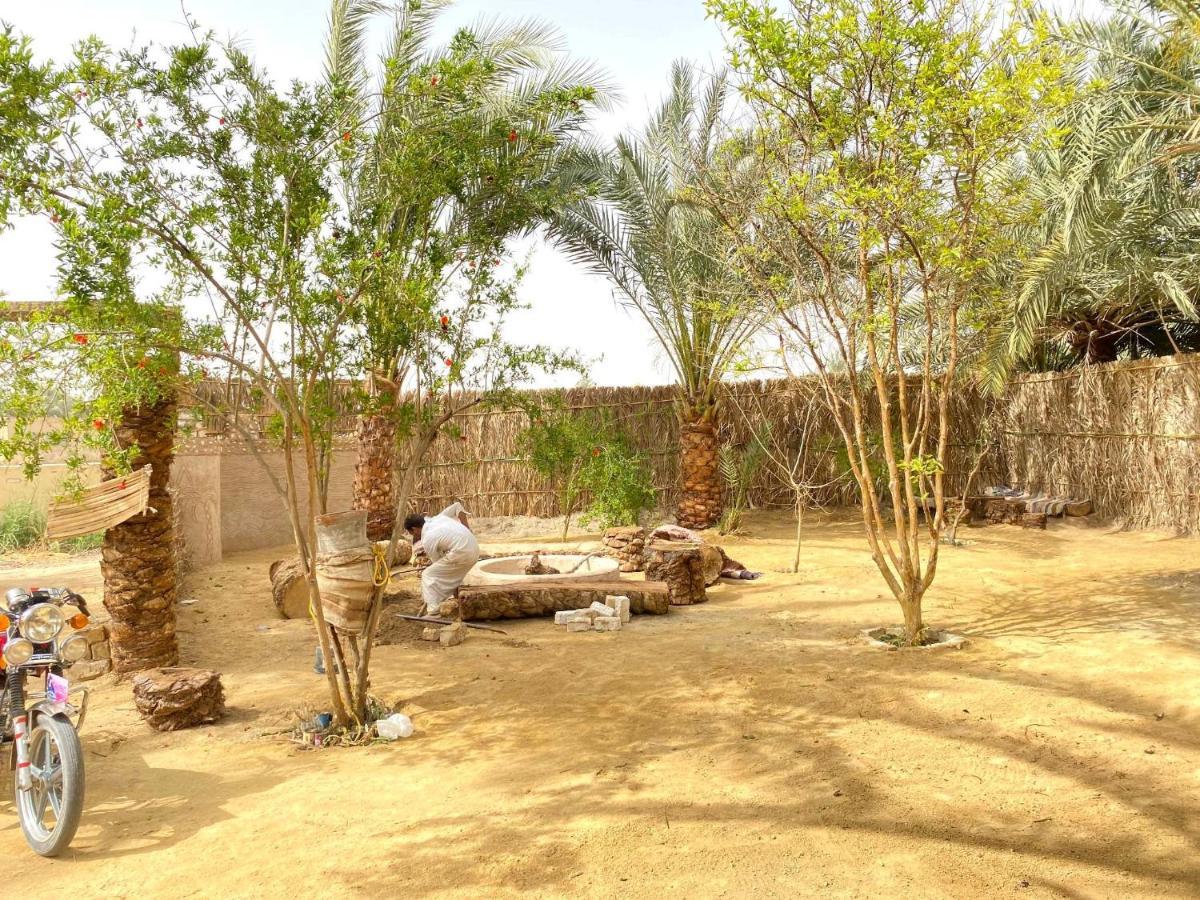 Forest Camp Siwa - كامب الغابة Siwa Oasis 외부 사진