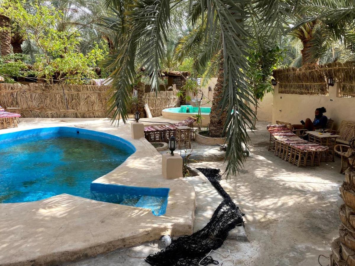 Forest Camp Siwa - كامب الغابة Siwa Oasis 외부 사진