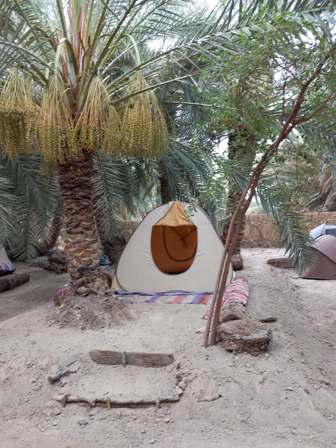 Forest Camp Siwa - كامب الغابة Siwa Oasis 외부 사진