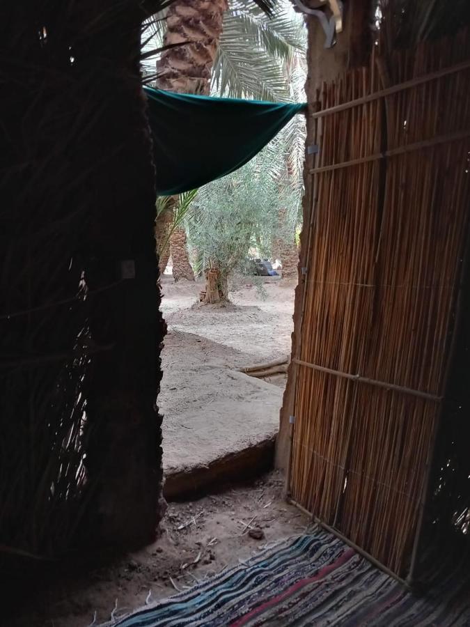 Forest Camp Siwa - كامب الغابة Siwa Oasis 외부 사진