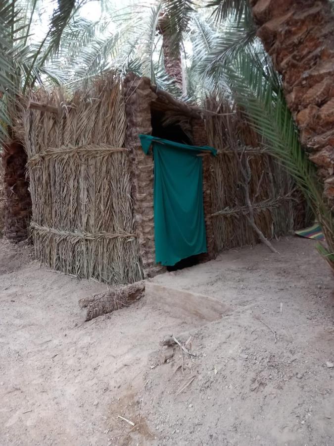 Forest Camp Siwa - كامب الغابة Siwa Oasis 외부 사진