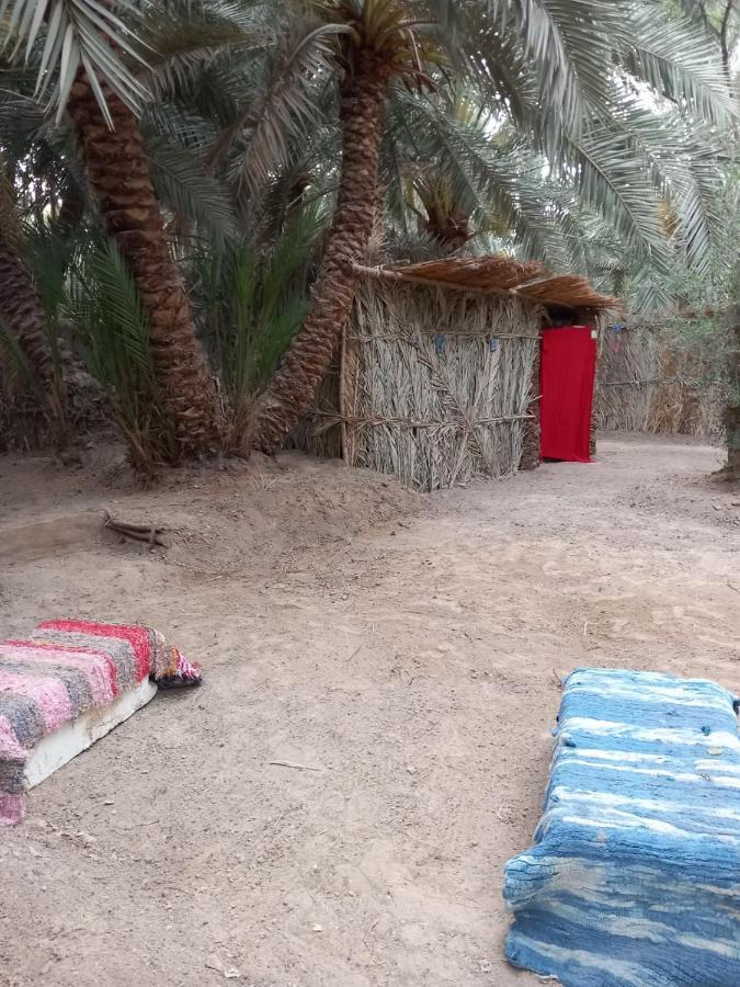 Forest Camp Siwa - كامب الغابة Siwa Oasis 외부 사진