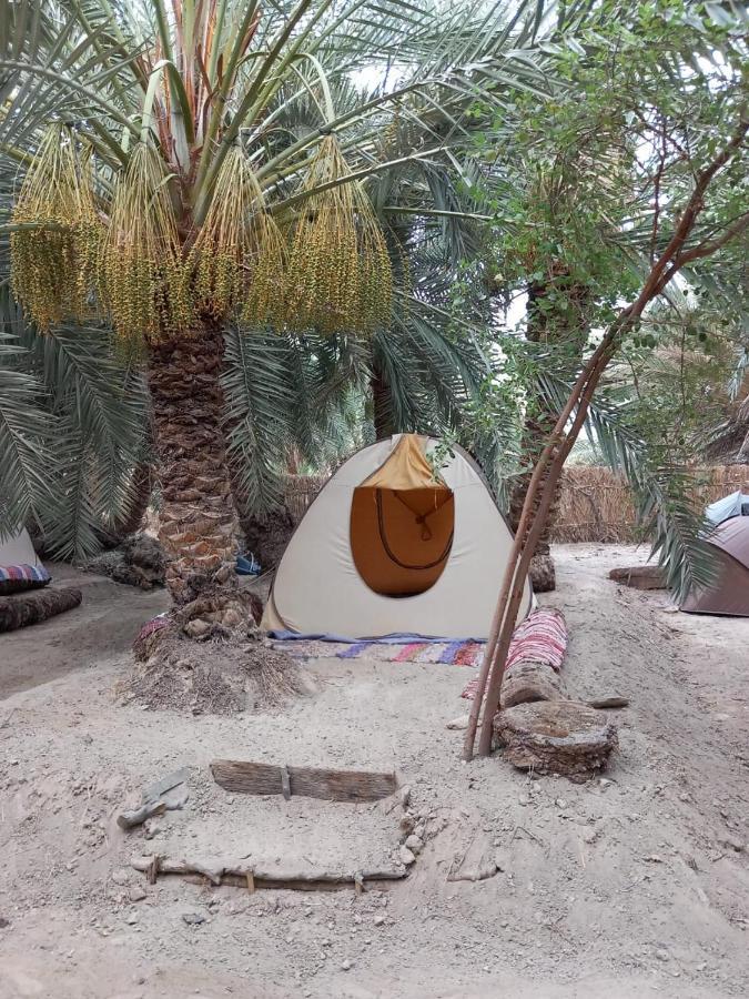 Forest Camp Siwa - كامب الغابة Siwa Oasis 외부 사진