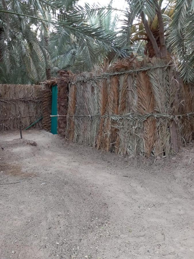 Forest Camp Siwa - كامب الغابة Siwa Oasis 외부 사진