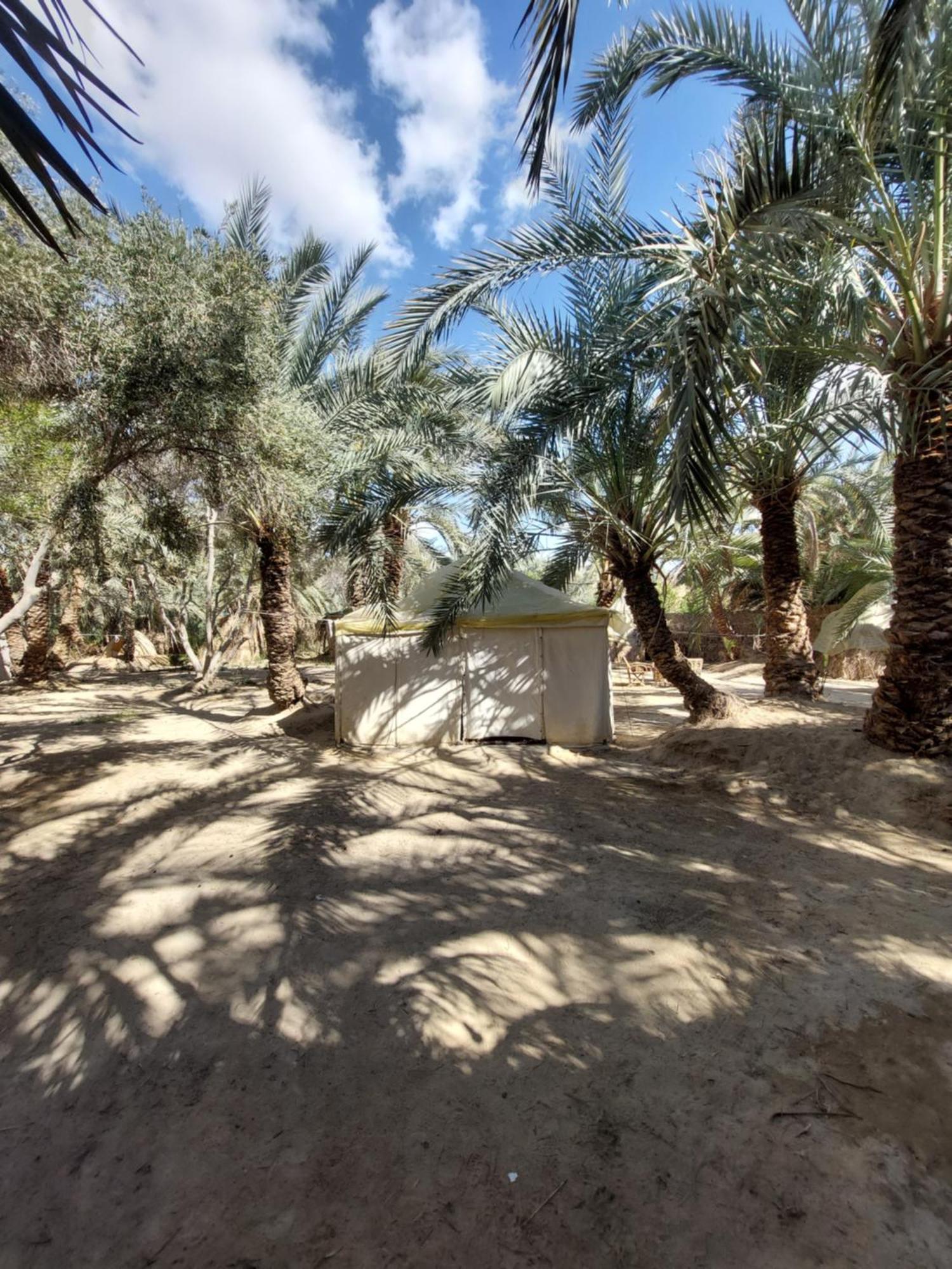 Forest Camp Siwa - كامب الغابة Siwa Oasis 외부 사진