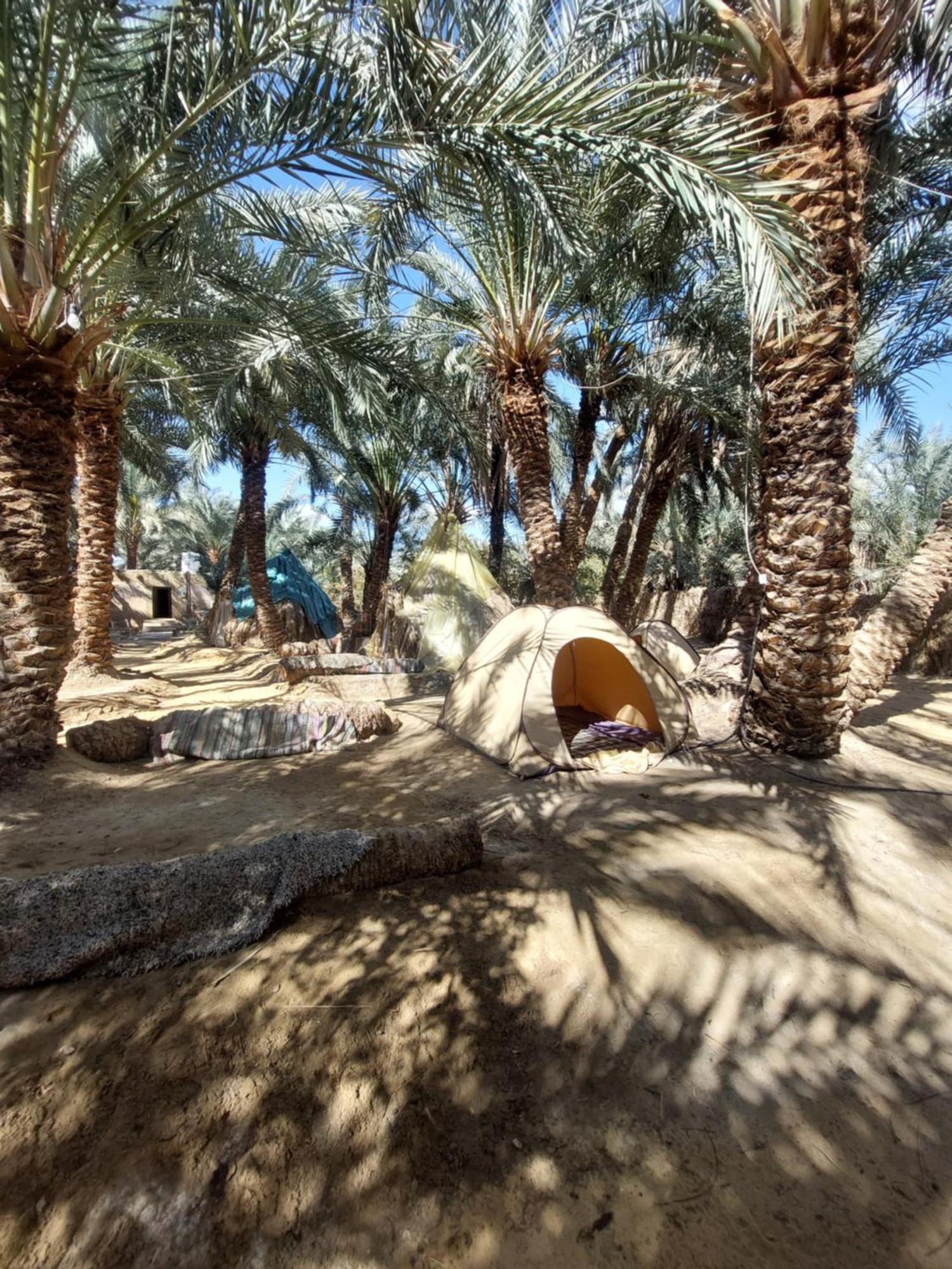 Forest Camp Siwa - كامب الغابة Siwa Oasis 외부 사진