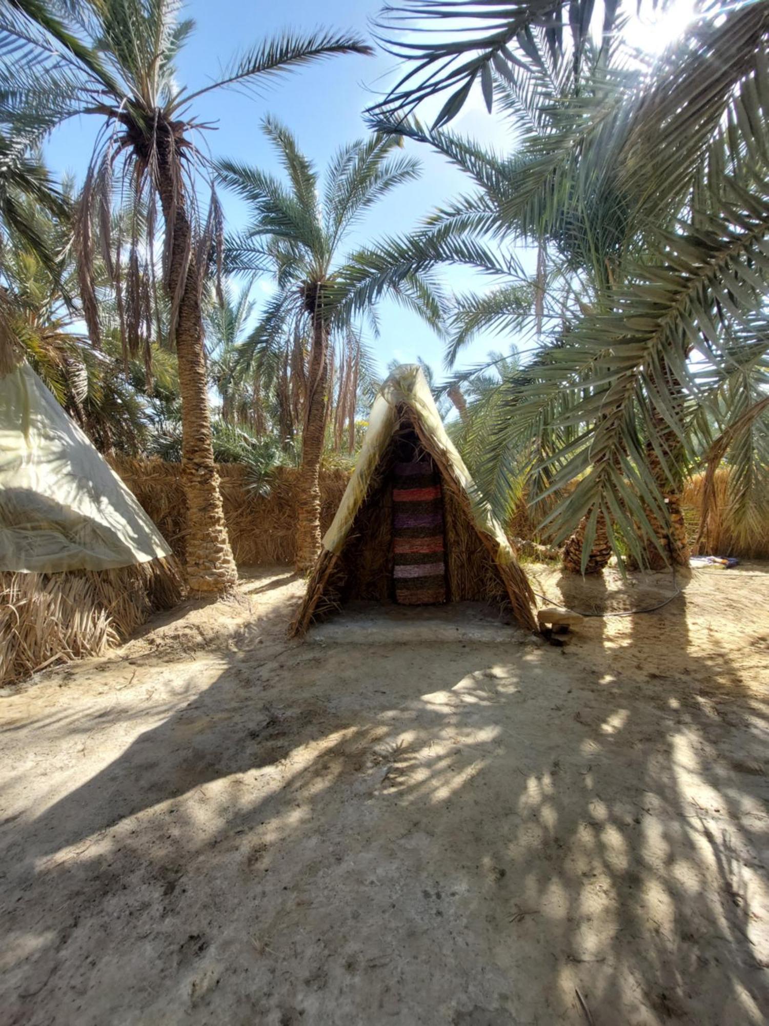 Forest Camp Siwa - كامب الغابة Siwa Oasis 외부 사진