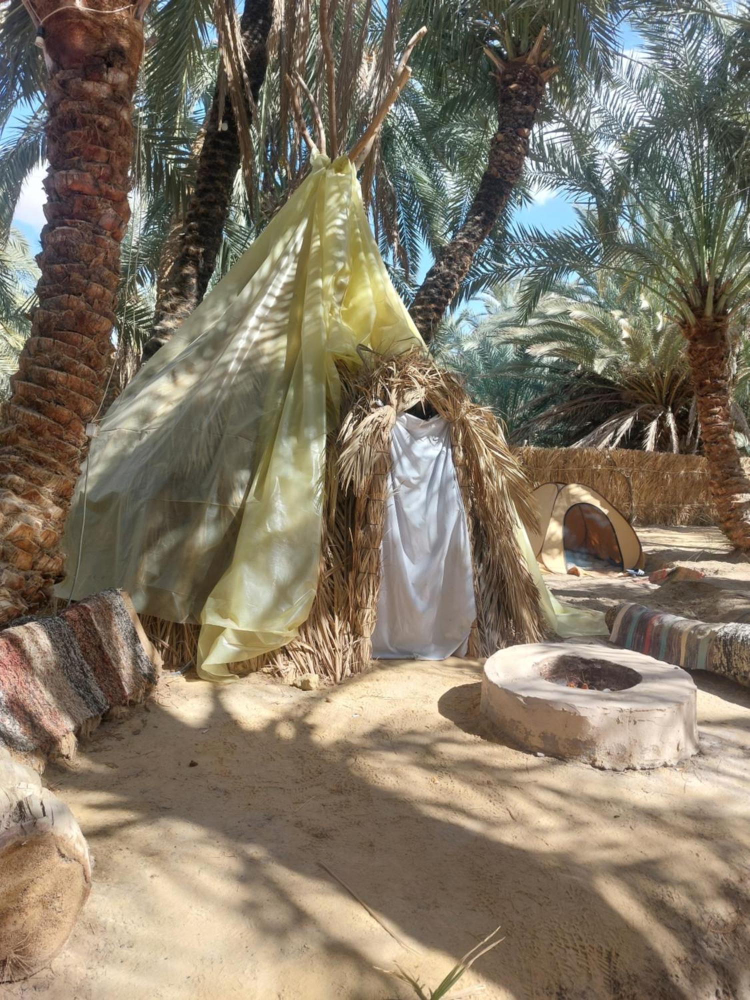 Forest Camp Siwa - كامب الغابة Siwa Oasis 외부 사진