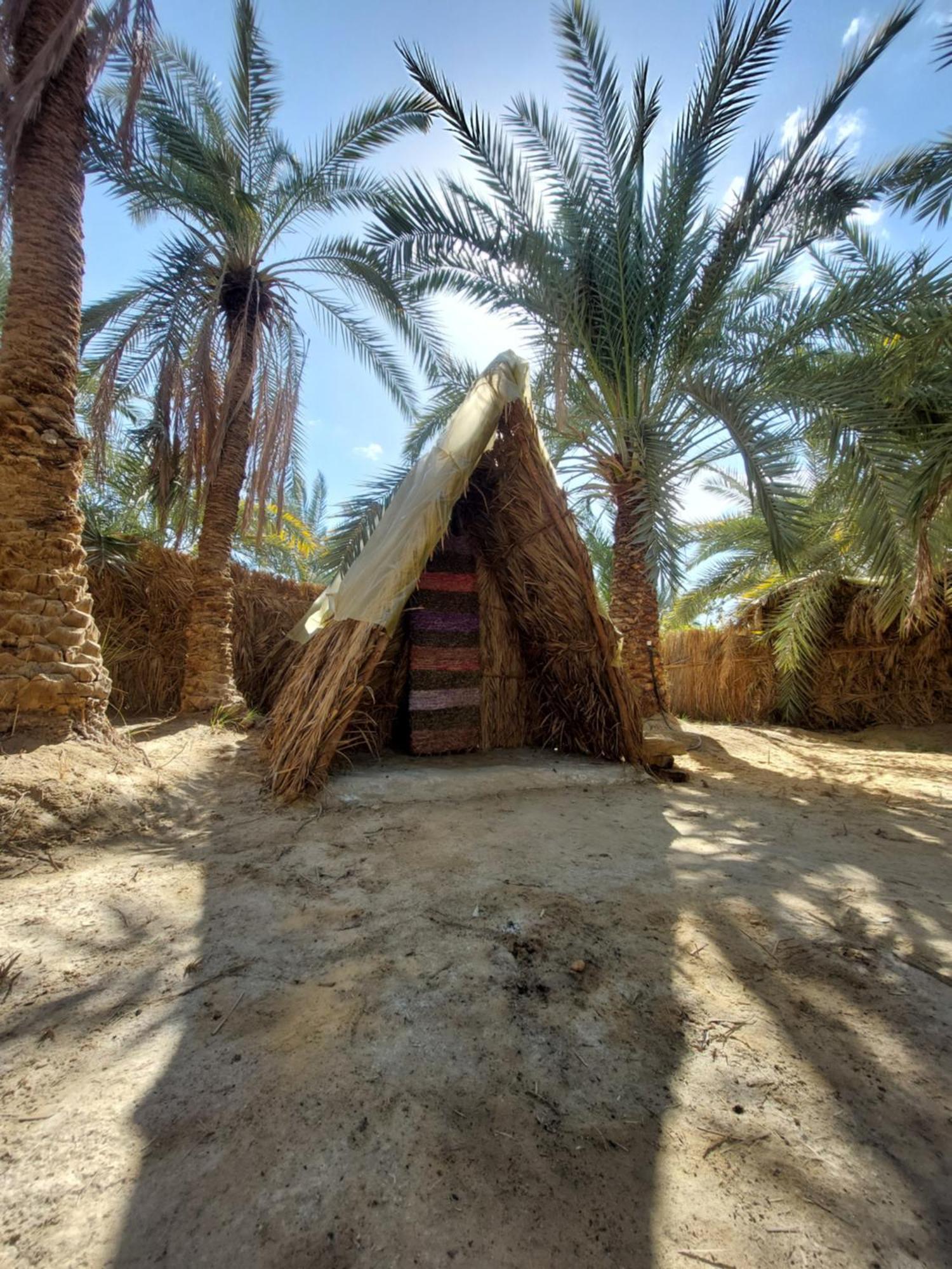 Forest Camp Siwa - كامب الغابة Siwa Oasis 외부 사진