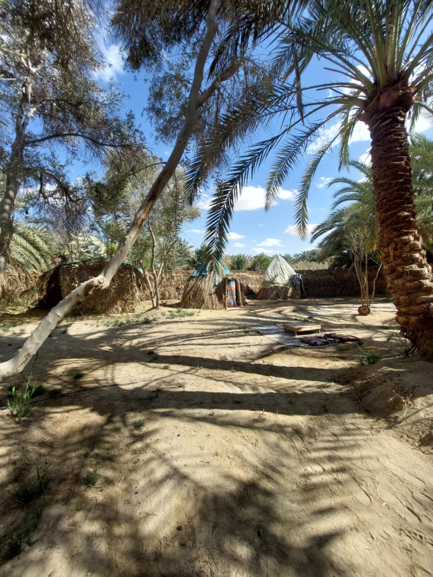 Forest Camp Siwa - كامب الغابة Siwa Oasis 외부 사진