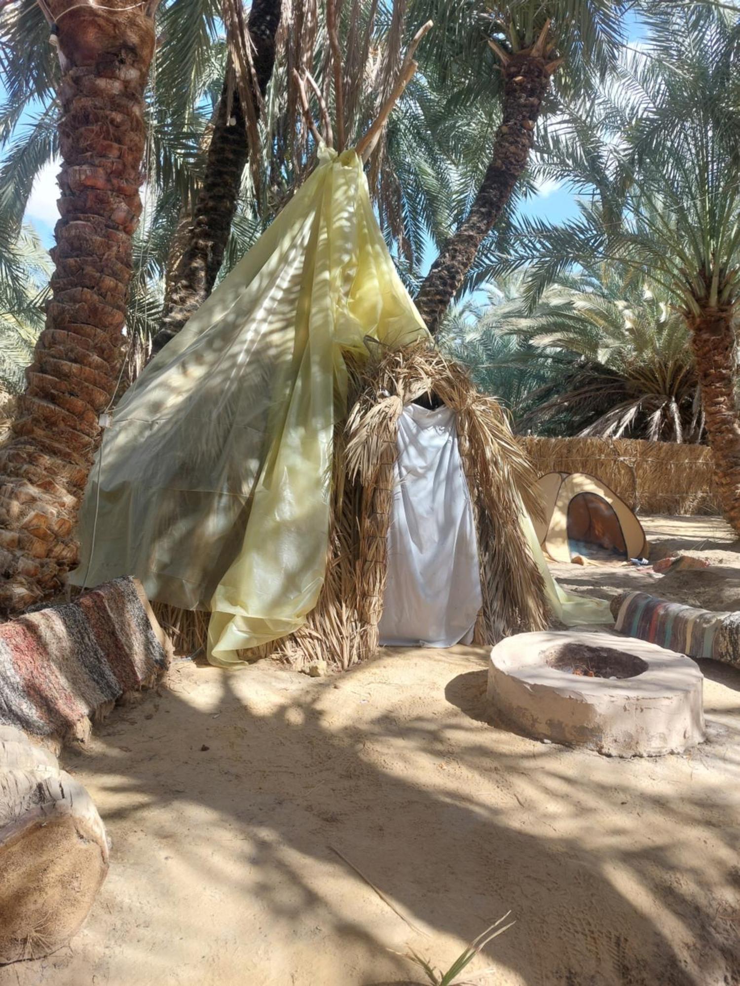 Forest Camp Siwa - كامب الغابة Siwa Oasis 외부 사진