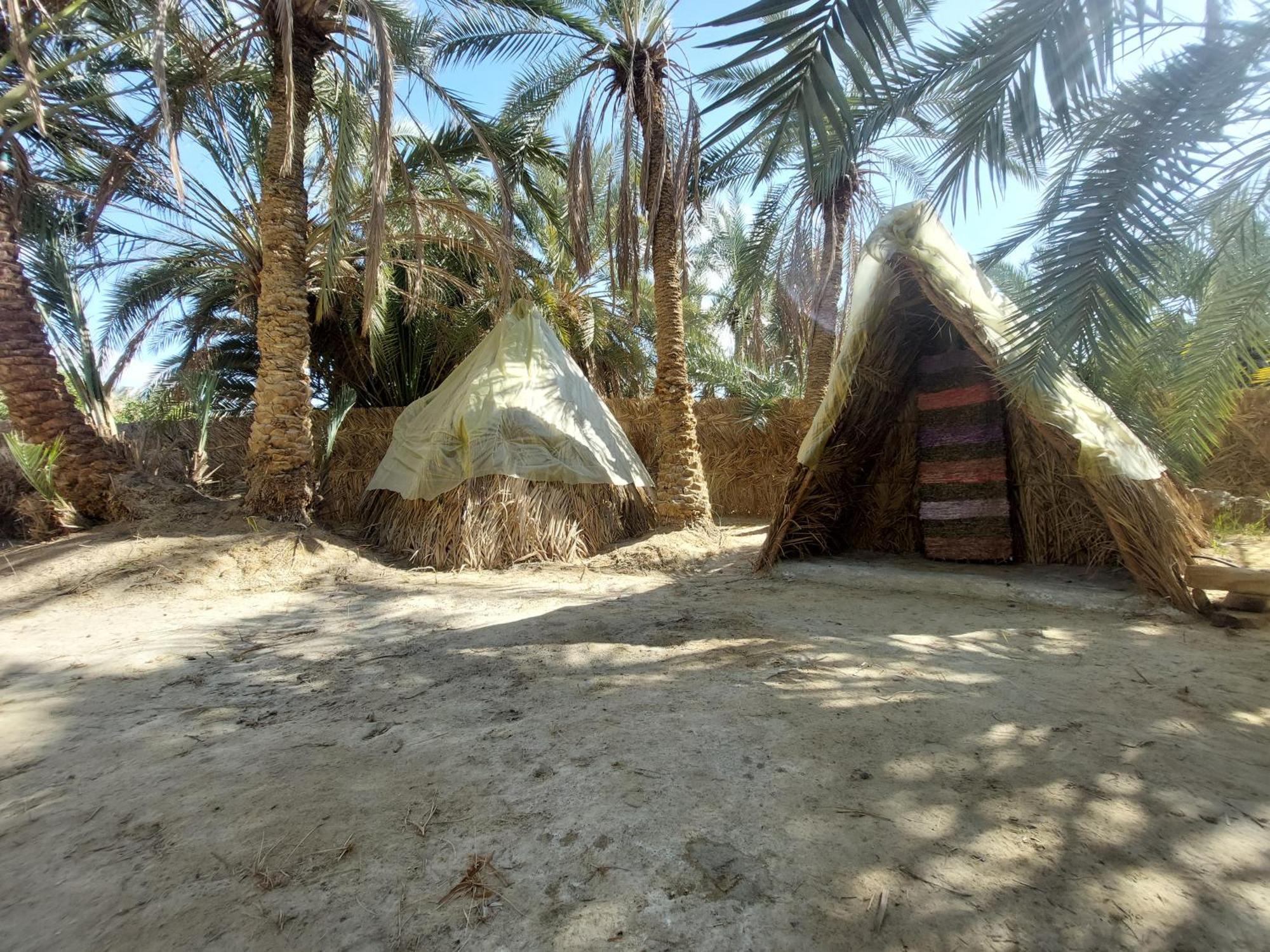 Forest Camp Siwa - كامب الغابة Siwa Oasis 외부 사진