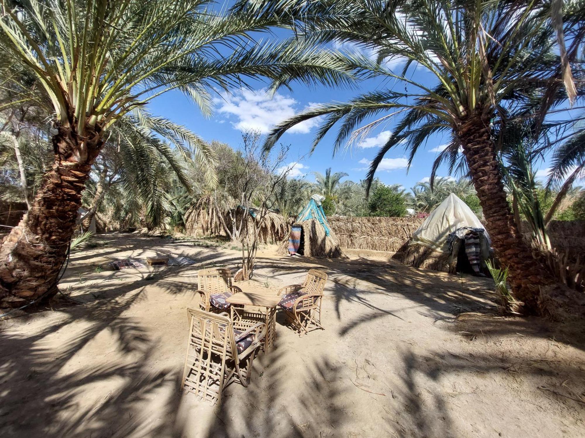 Forest Camp Siwa - كامب الغابة Siwa Oasis 외부 사진