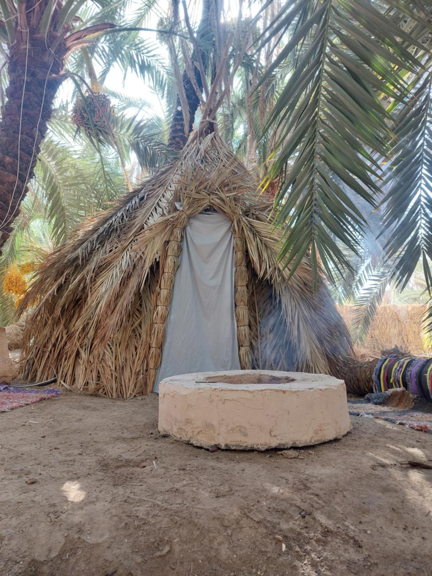 Forest Camp Siwa - كامب الغابة Siwa Oasis 외부 사진