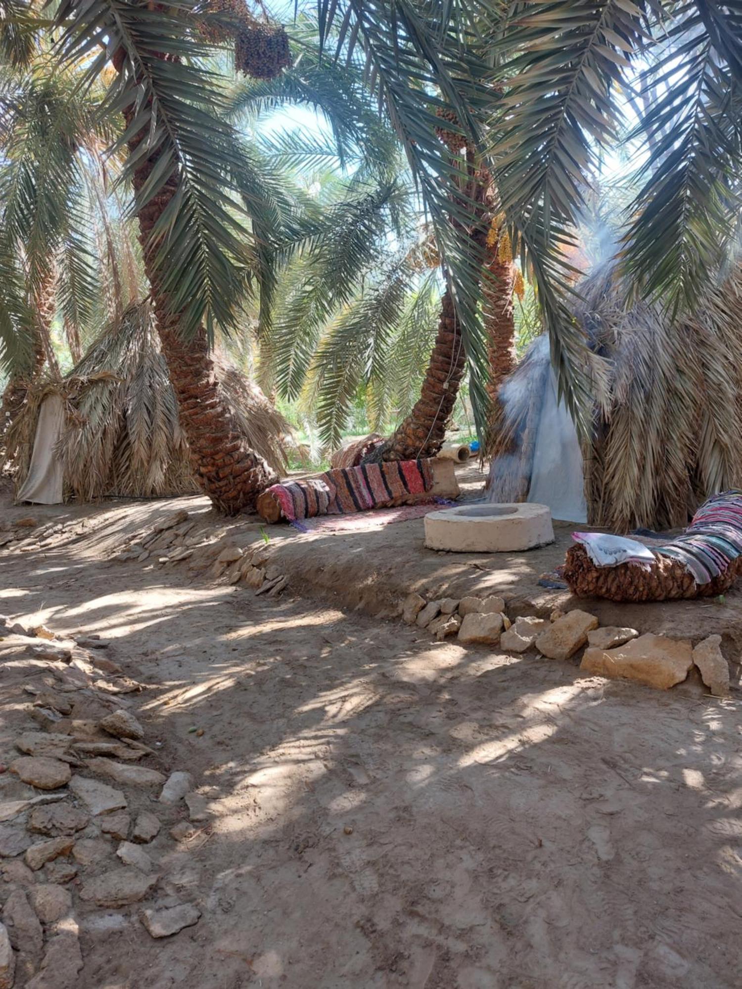 Forest Camp Siwa - كامب الغابة Siwa Oasis 외부 사진