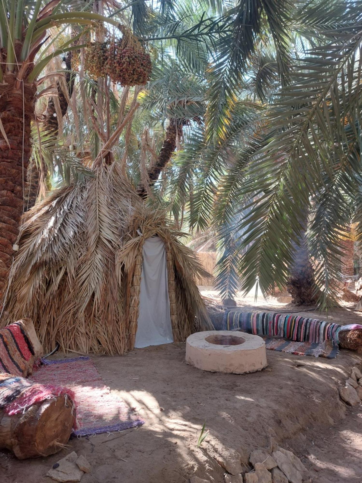 Forest Camp Siwa - كامب الغابة Siwa Oasis 외부 사진