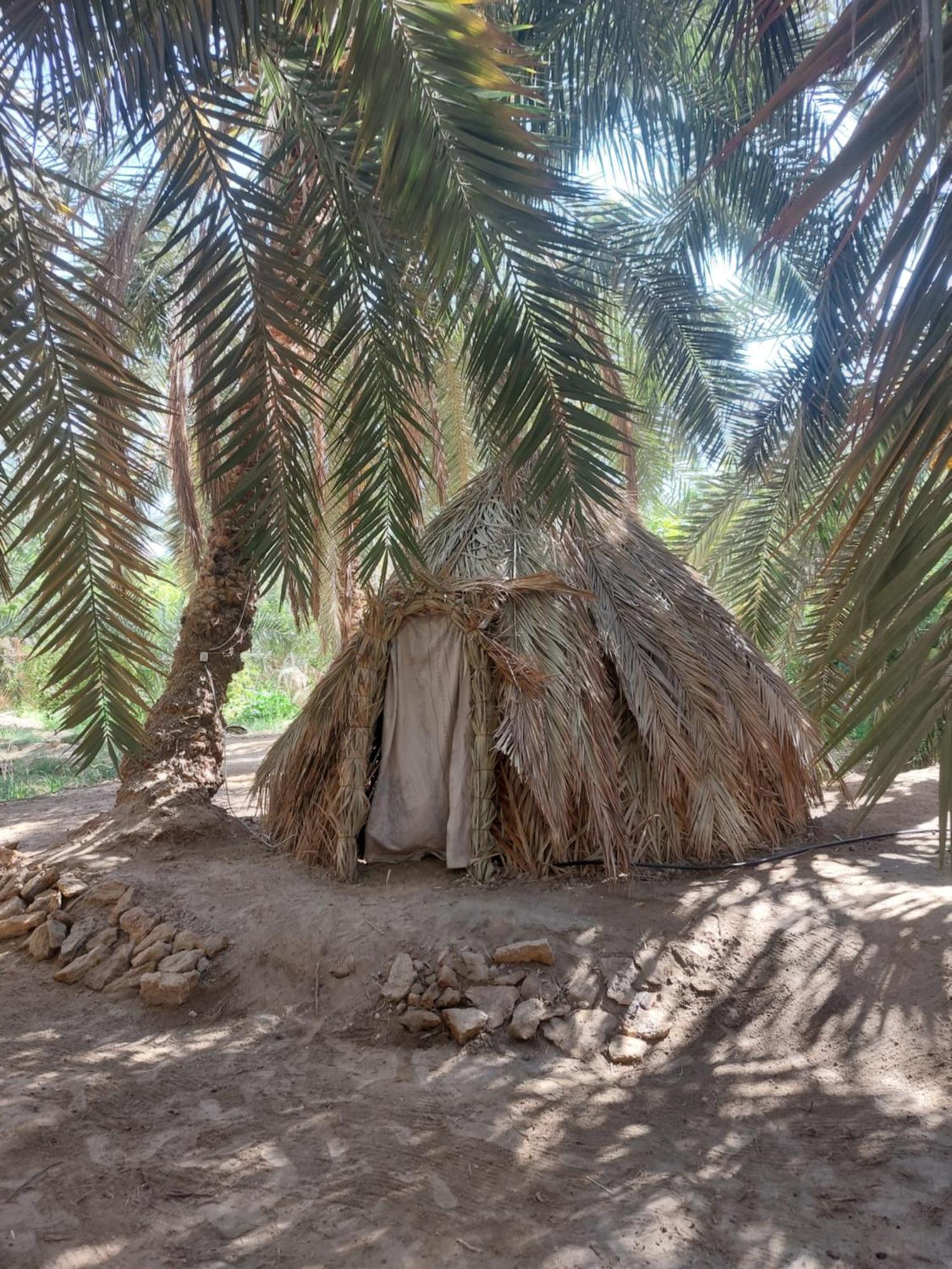 Forest Camp Siwa - كامب الغابة Siwa Oasis 외부 사진