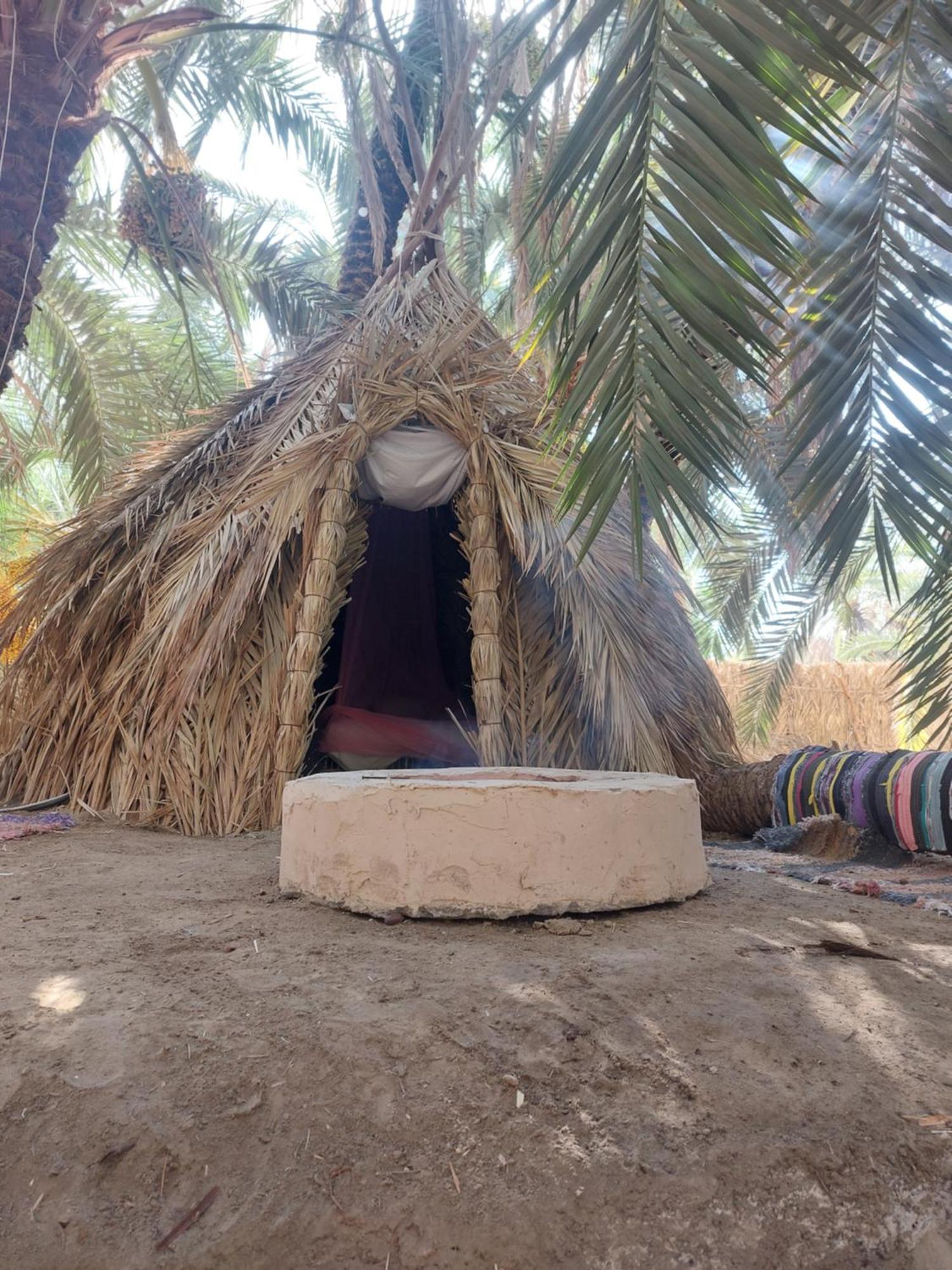 Forest Camp Siwa - كامب الغابة Siwa Oasis 외부 사진