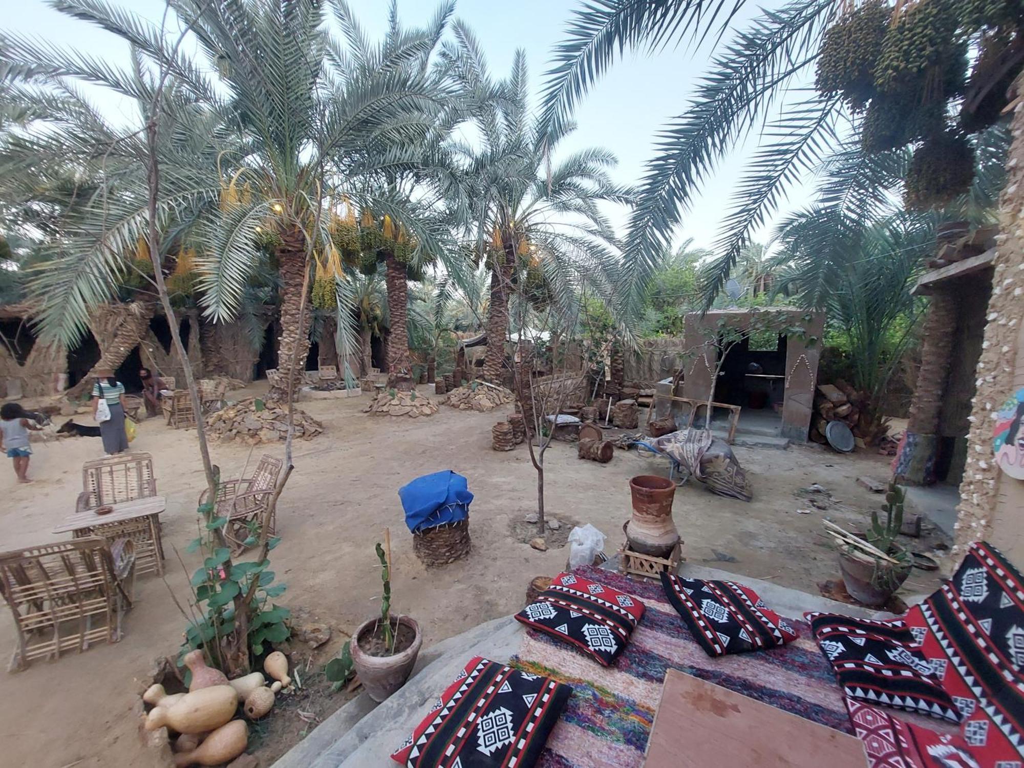 Forest Camp Siwa - كامب الغابة Siwa Oasis 외부 사진