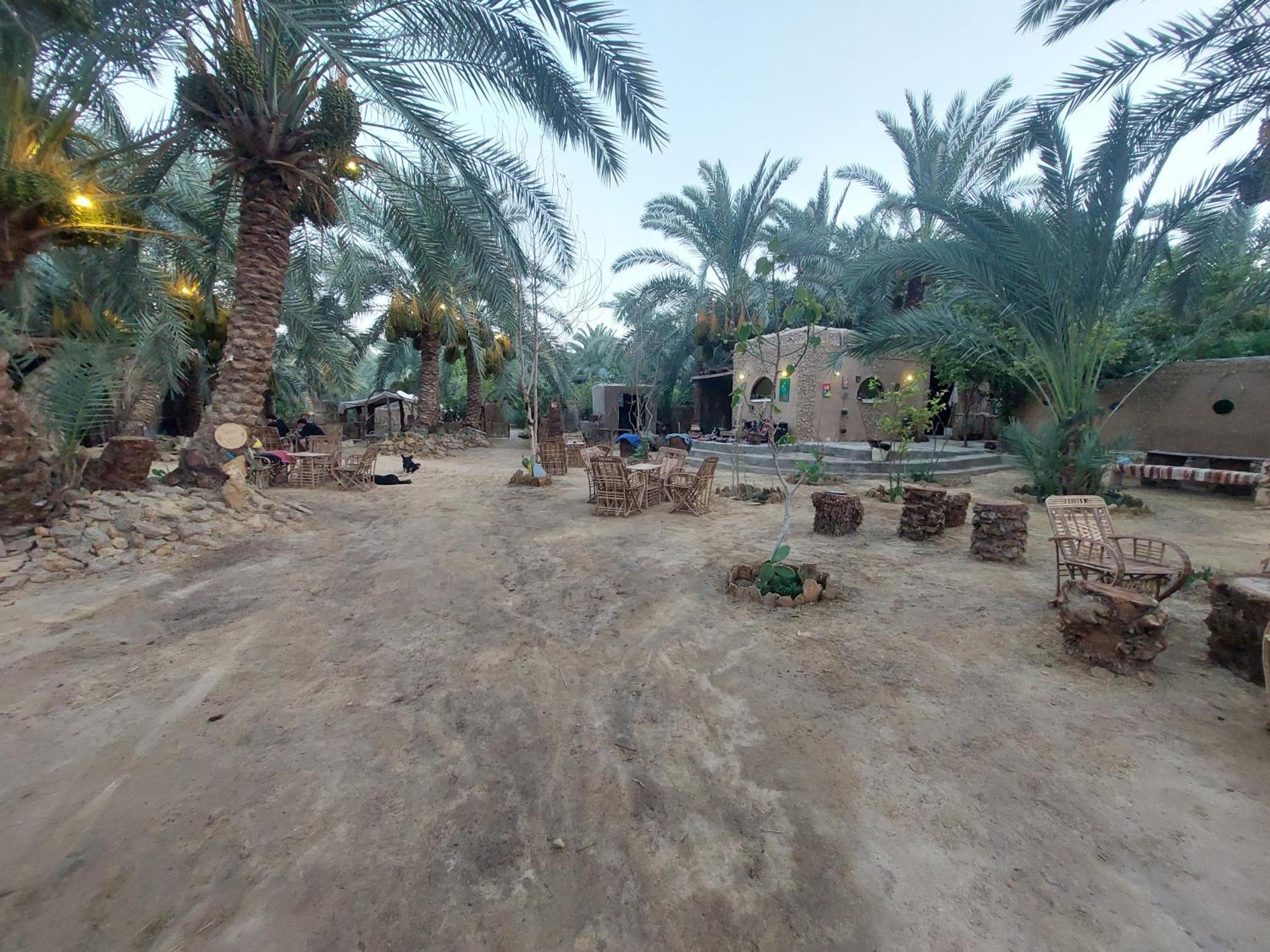 Forest Camp Siwa - كامب الغابة Siwa Oasis 외부 사진