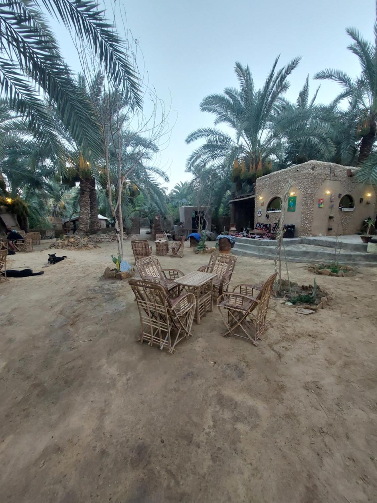 Forest Camp Siwa - كامب الغابة Siwa Oasis 외부 사진