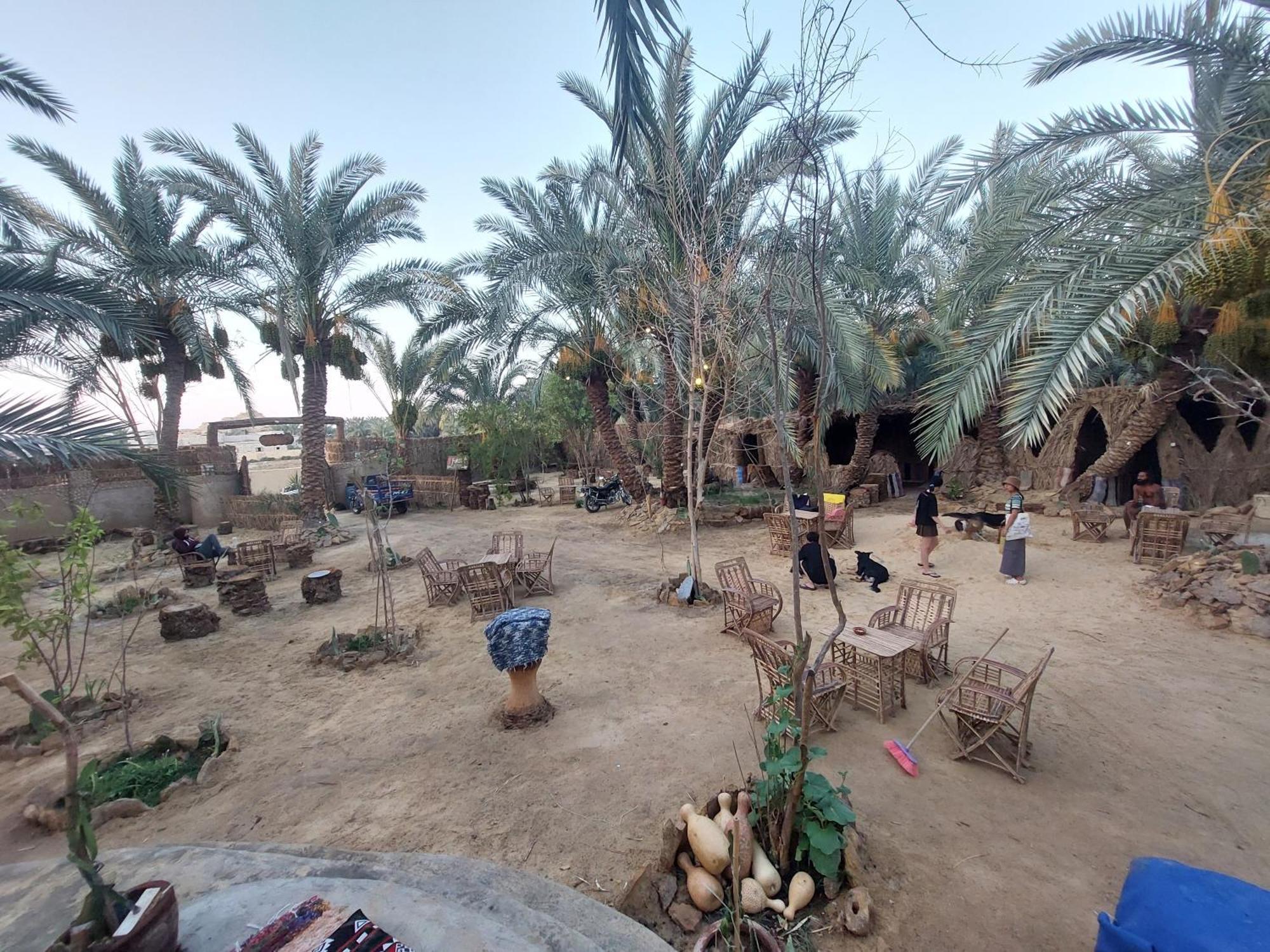 Forest Camp Siwa - كامب الغابة Siwa Oasis 외부 사진