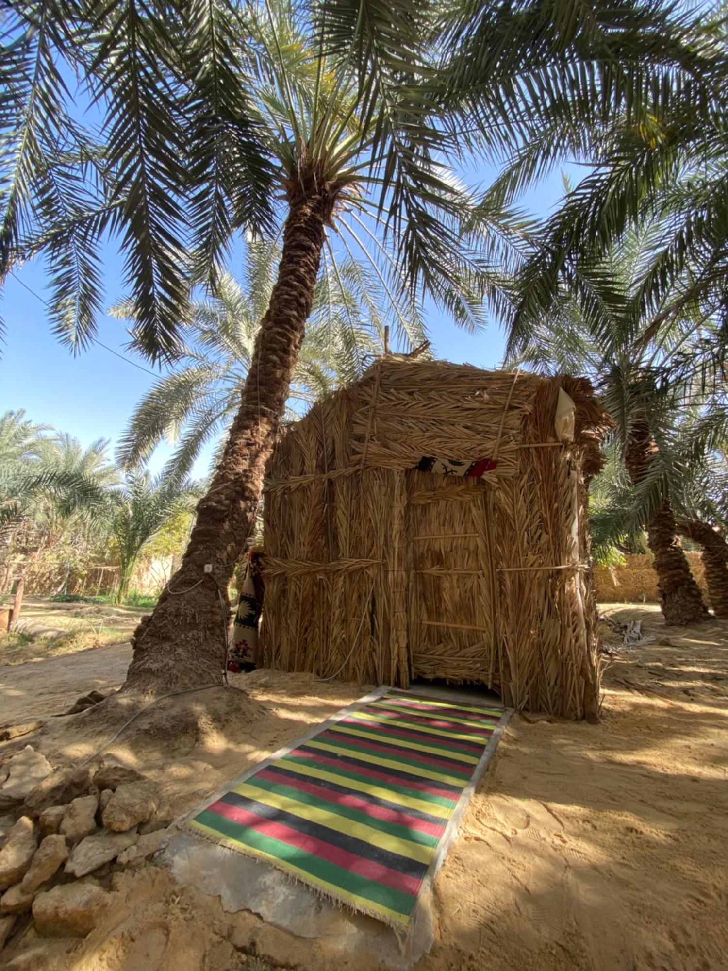 Forest Camp Siwa - كامب الغابة 시와오아시스 외부 사진