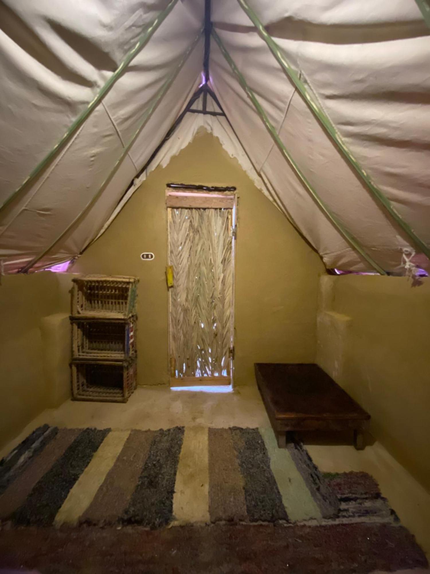 Forest Camp Siwa - كامب الغابة 시와오아시스 외부 사진