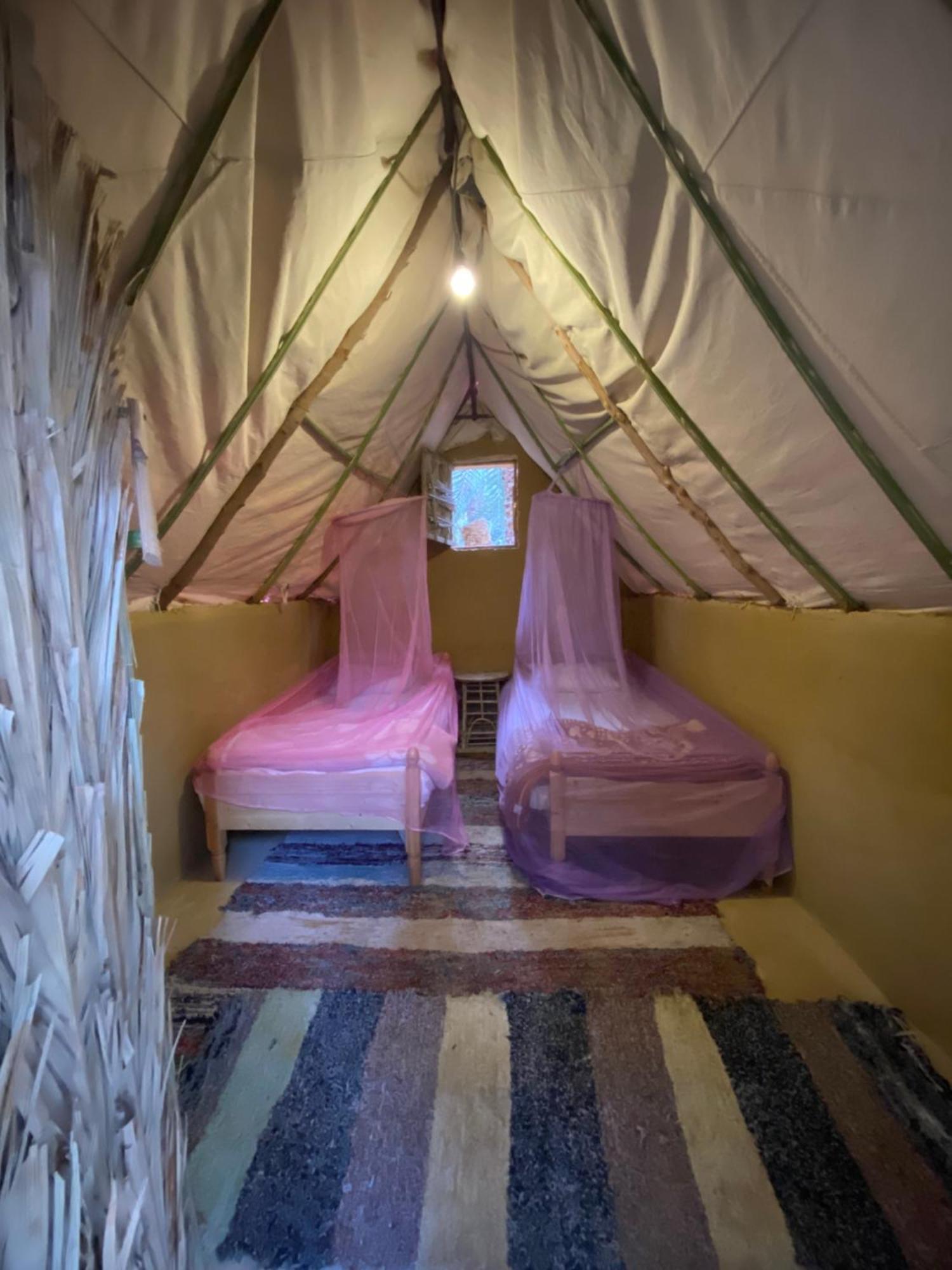 Forest Camp Siwa - كامب الغابة 시와오아시스 외부 사진
