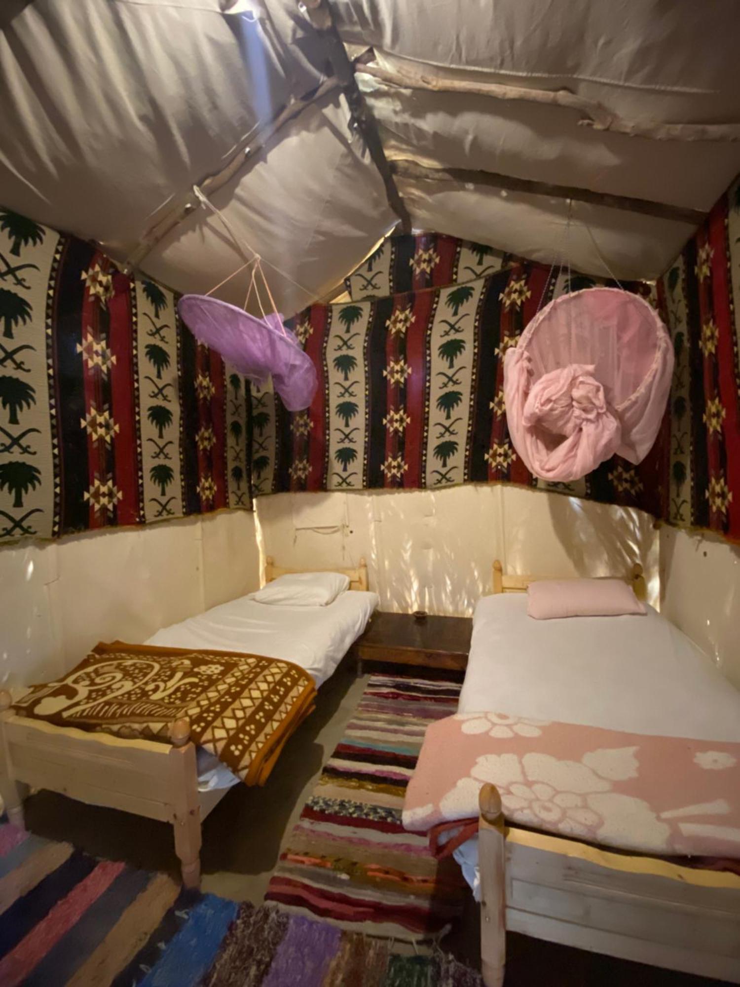 Forest Camp Siwa - كامب الغابة 시와오아시스 외부 사진