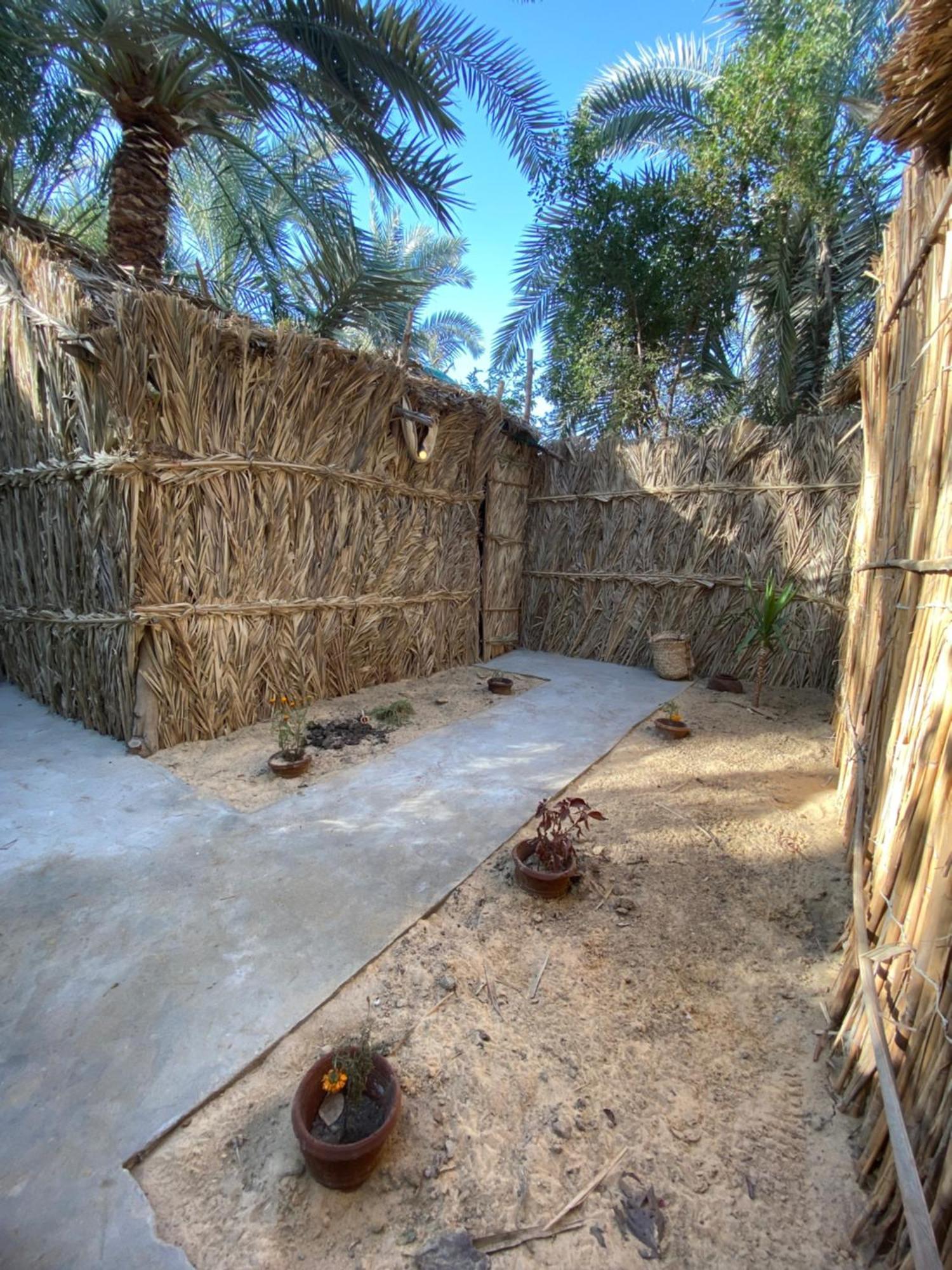 Forest Camp Siwa - كامب الغابة 시와오아시스 외부 사진
