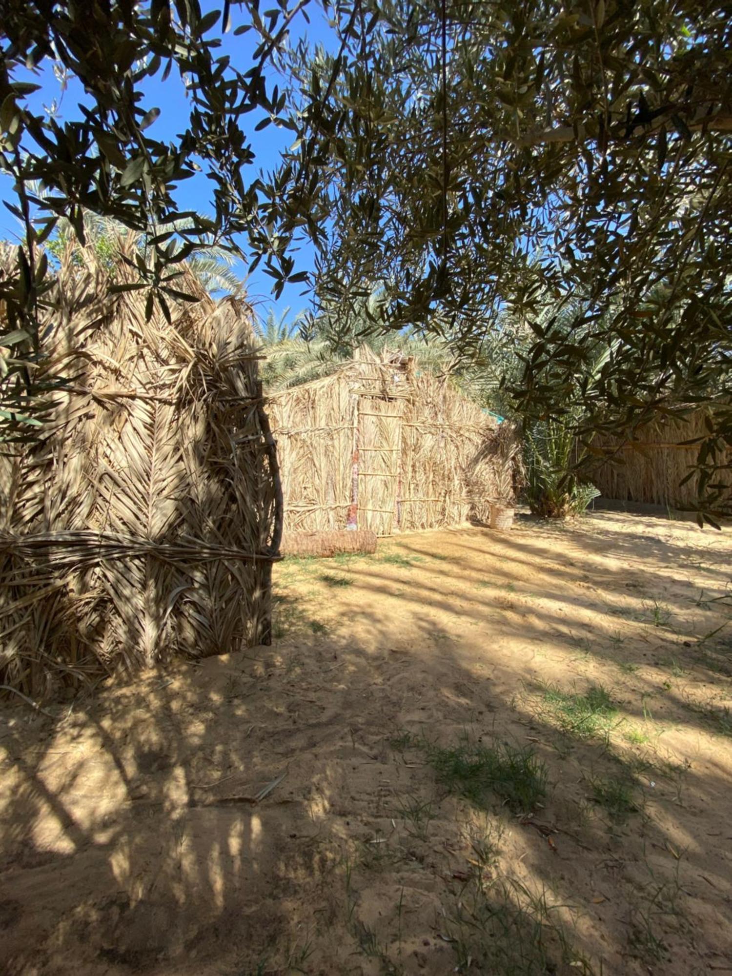 Forest Camp Siwa - كامب الغابة 시와오아시스 외부 사진
