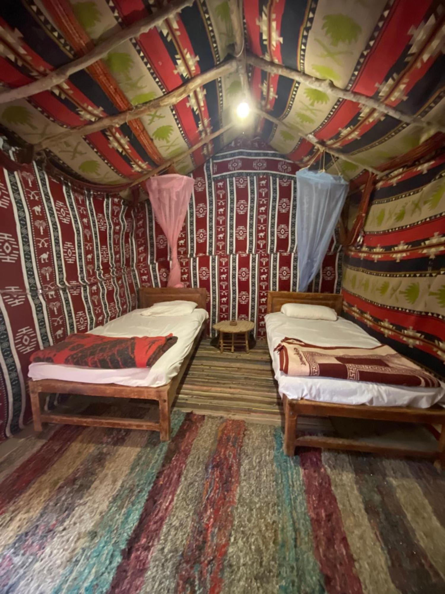 Forest Camp Siwa - كامب الغابة 시와오아시스 외부 사진