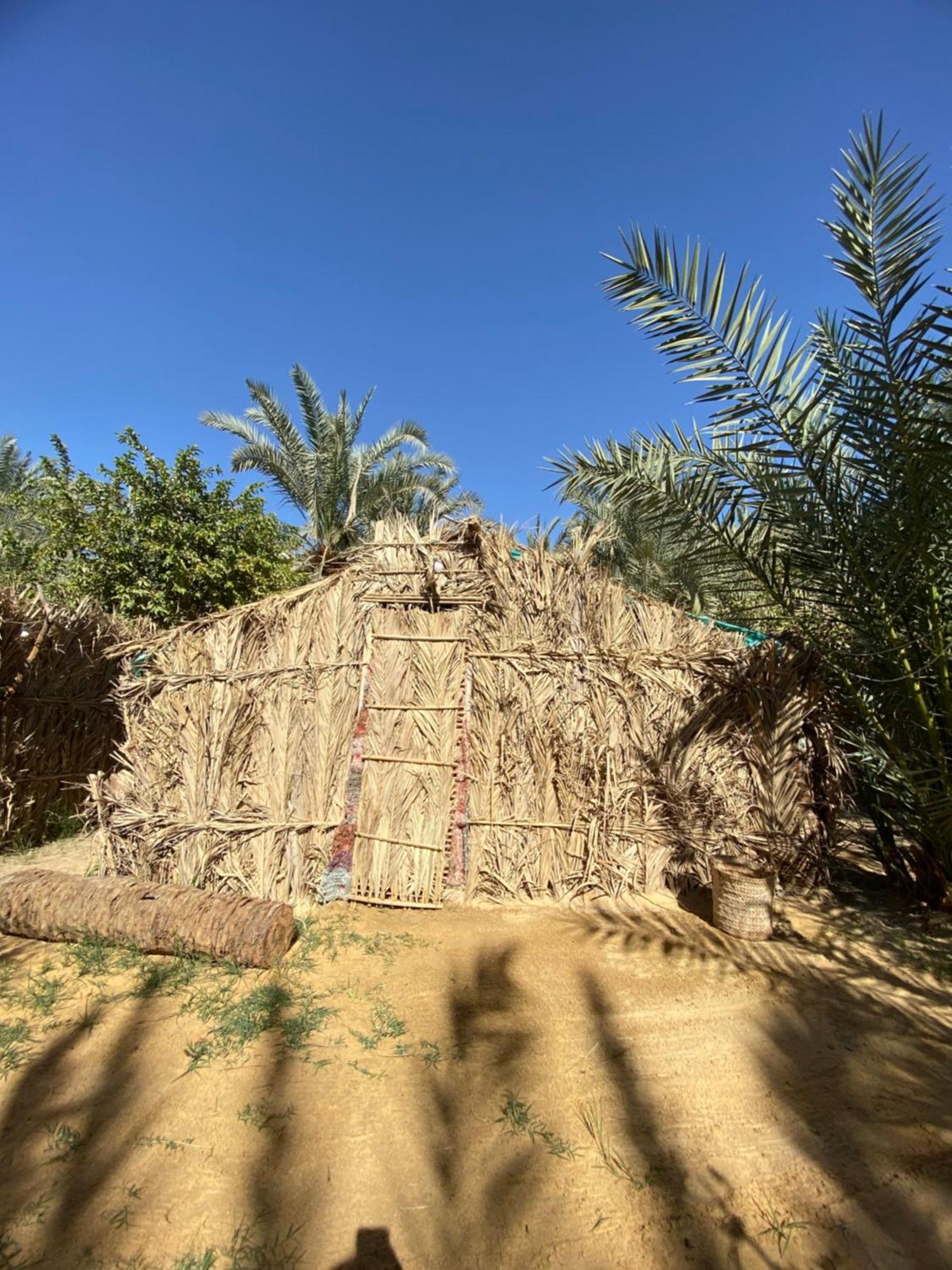 Forest Camp Siwa - كامب الغابة 시와오아시스 외부 사진