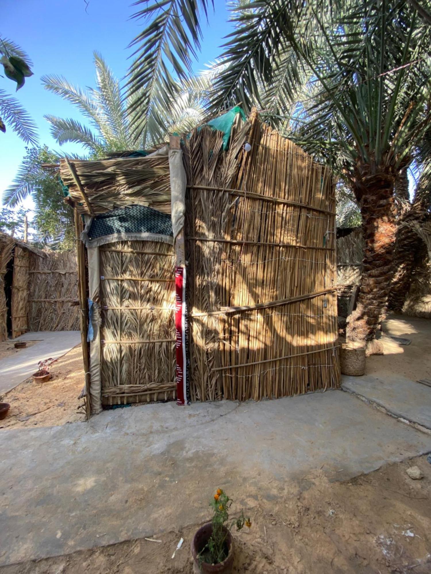 Forest Camp Siwa - كامب الغابة 시와오아시스 외부 사진